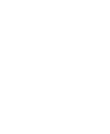 美