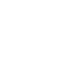 技