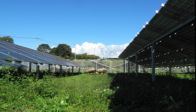 緑豊かな場所にある赤城工場。ソーラーパネルを設置し、環境に配慮したものづくりを行なっている。（写真提供：キヤノン電子株式会社）